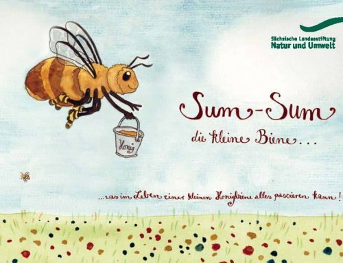 Sum-Sum, die kleine Biene
