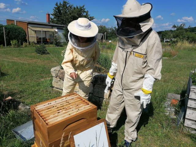 Bienenpatenschaft
